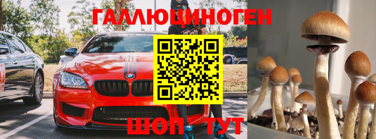 Псилоцибиновые грибы Psilocybe  Вход с VPN  продажа наркотиков  Ачхой-Мартан 